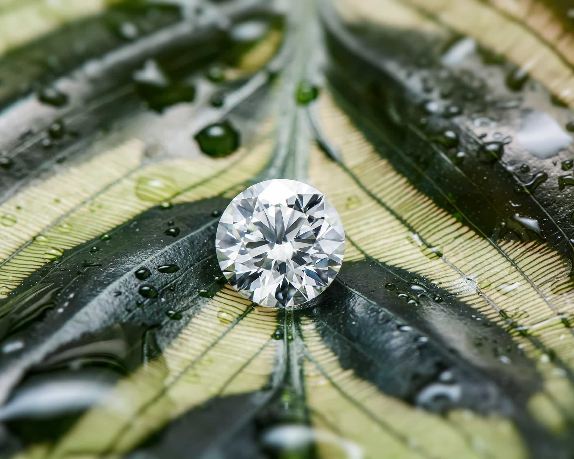 Novita | Lab Grown Diamonds photo 1