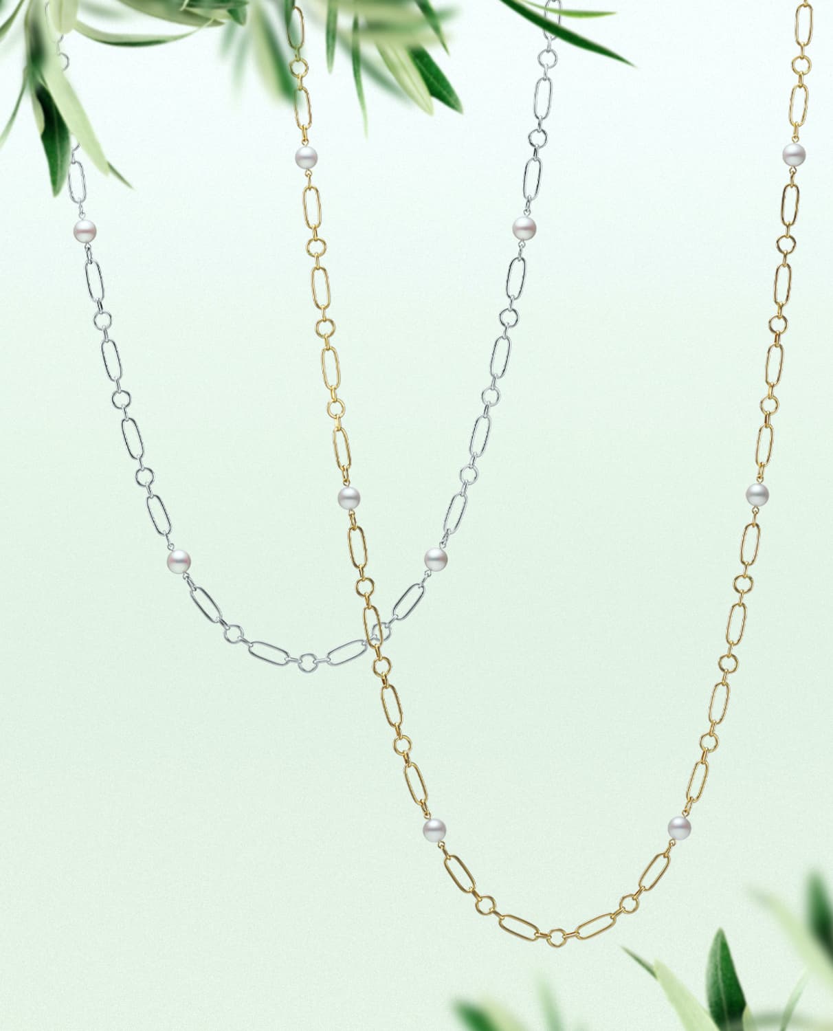 Mikimoto photo 2