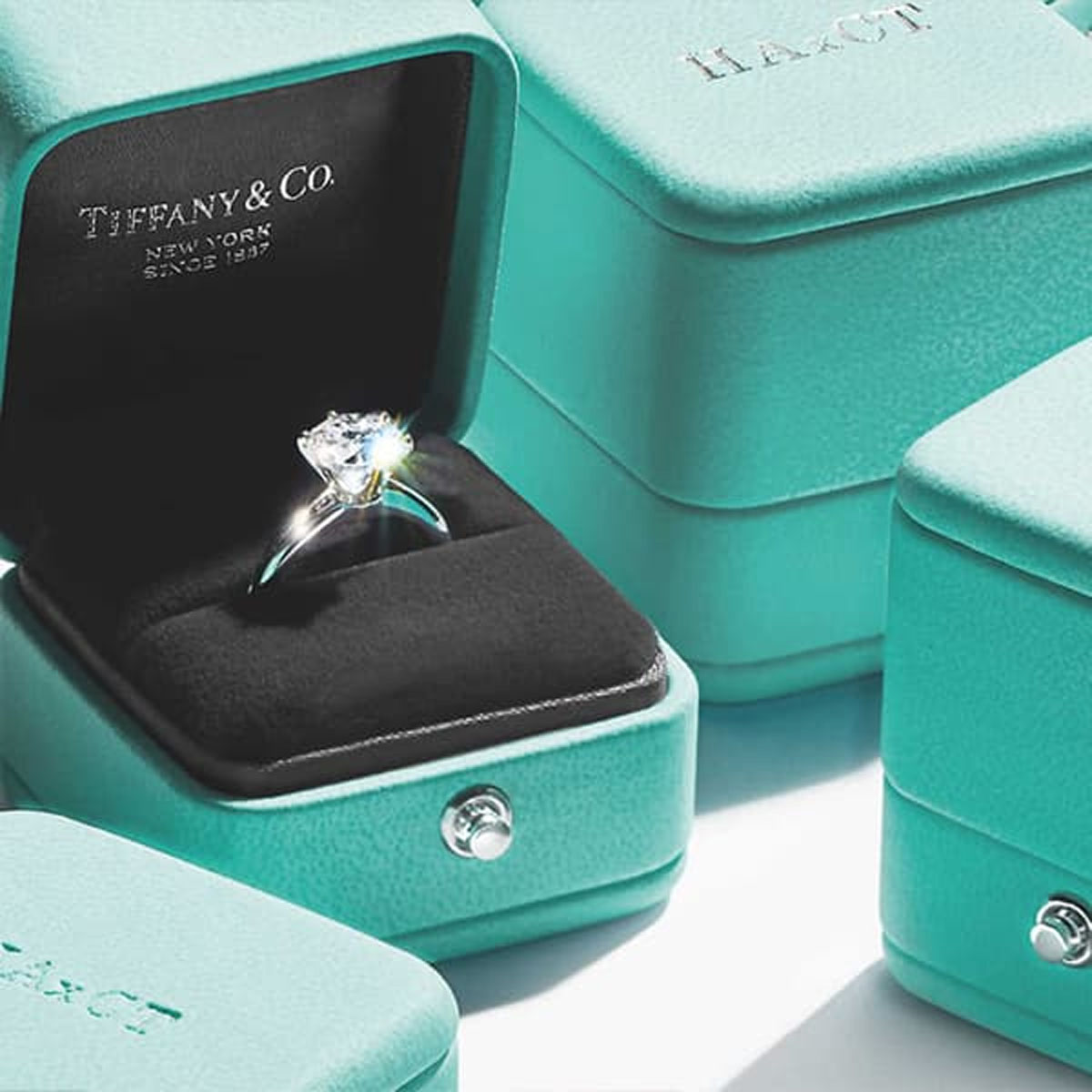 Embrace the Charm of Tiffany & Co.'s Jewellery Today