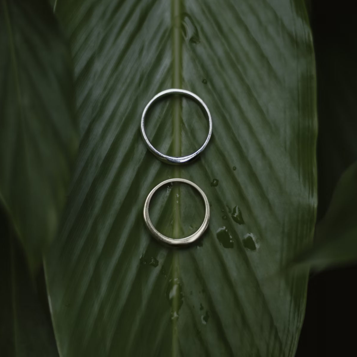proposal rings UK, temporary engagement ring, placeholder engagement ring, rent an engagement ring, ethical engagement ring, proposal ring services UK, engagement ring trends 2025, lab-grown diamond rings, joint engagement ring shopping, engagement ring alternatives